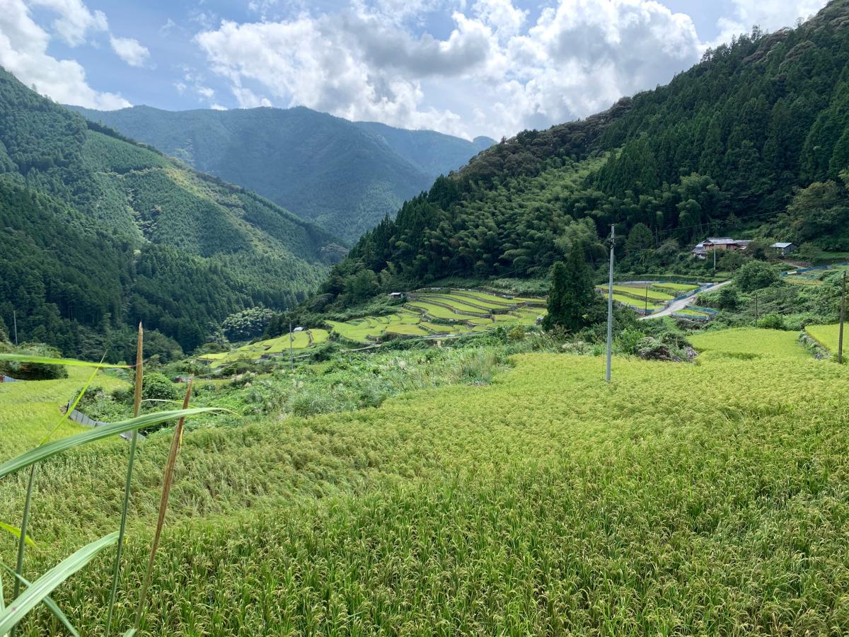 いの町吾北地区 地域おこし協力隊募集！（農業振興・半農半Ｘ）